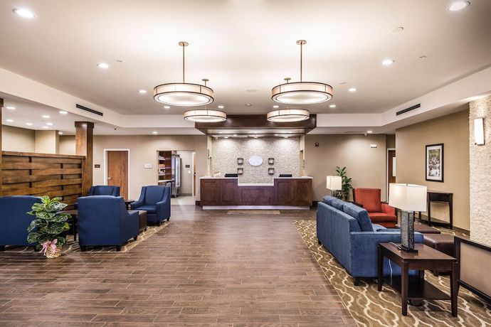 Imagen de los interiores del Hotel Comfort Suites Greenville South. Foto 13
