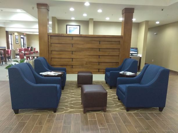 Imagen de los interiores del Hotel Comfort Suites Greenville South. Foto 15