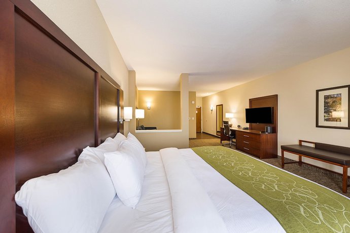 Imagen de la habitación del Hotel Comfort Suites Greenville South. Foto 4