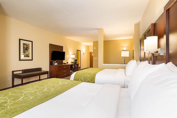 Imagen de la habitación del Hotel Comfort Suites Greenville South. Foto 10