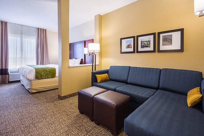 Imagen de la habitación del Hotel Comfort Suites Greenville South. Foto 12