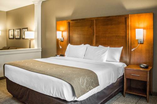 Imagen de la habitación del Hotel Comfort Suites Hartville-North Canton. Foto 3