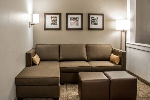 Imagen de la habitación del Hotel Comfort Suites Hartville-North Canton. Foto 4