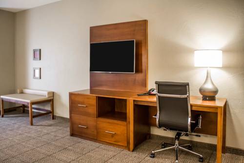 Imagen de la habitación del Hotel Comfort Suites Hartville-North Canton. Foto 5