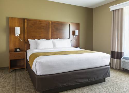 Imagen de la habitación del Hotel Comfort Suites Hartville-North Canton. Foto 6