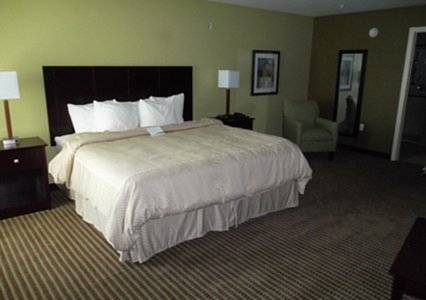 Imagen de la habitación del Hotel Comfort Suites Harvey - New Orleans West Bank. Foto 2