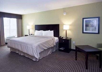 Imagen de la habitación del Hotel Comfort Suites Harvey - New Orleans West Bank. Foto 5
