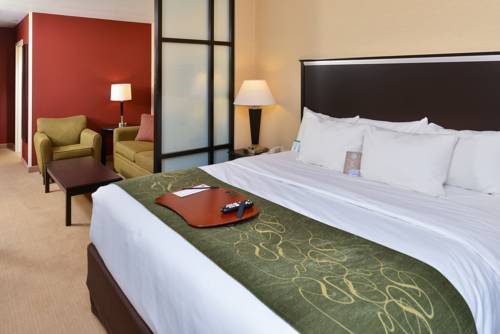Imagen de la habitación del Hotel Comfort Suites Helena Airport. Foto 4