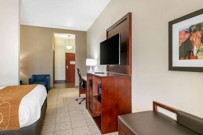 Imagen de la habitación del Hotel Comfort Suites Hopkinsville near Fort Campbell. Foto 9