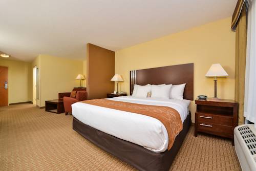 Imagen de la habitación del Hotel Comfort Suites Hummelstown - Hershey. Foto 3