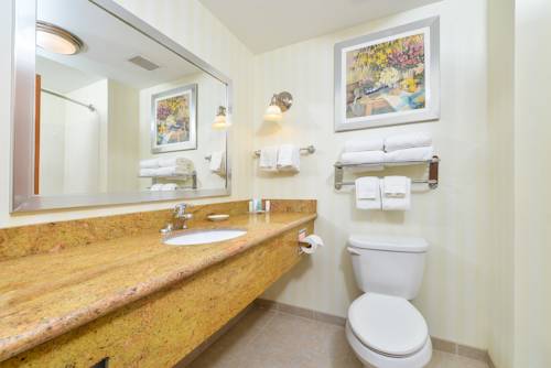 Imagen de la habitación del Hotel Comfort Suites Hummelstown - Hershey. Foto 5
