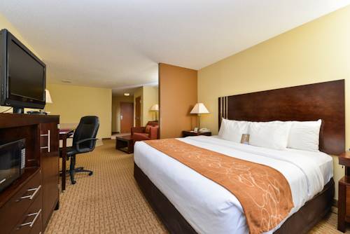 Imagen de la habitación del Hotel Comfort Suites Hummelstown - Hershey. Foto 7