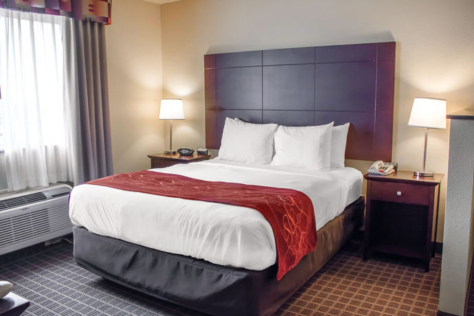 Imagen de la habitación del Hotel Comfort Suites Huntsville Midcity District At Research Park. Foto 7