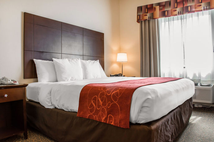 Imagen de la habitación del Hotel Comfort Suites Huntsville Midcity District At Research Park. Foto 9