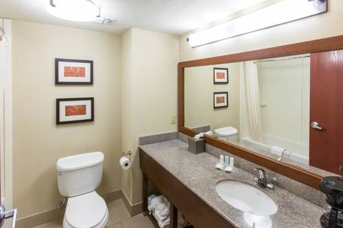 Imagen de la habitación del Hotel Comfort Suites Idabel. Foto 4