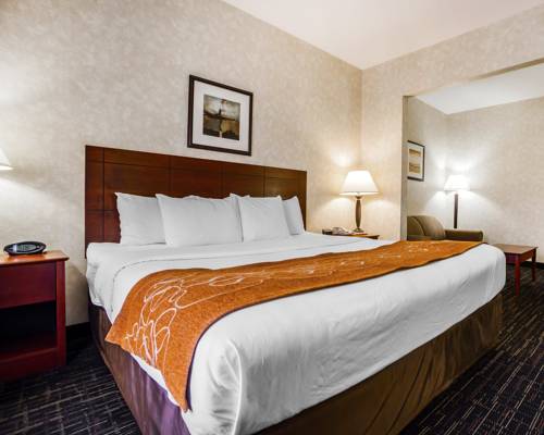Imagen de la habitación del Hotel Comfort Suites Independence - Kansas City. Foto 4