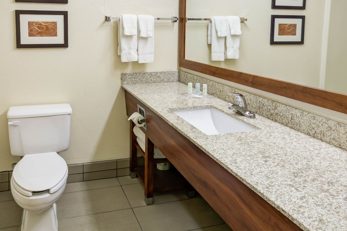 Imagen de la habitación del Hotel Comfort Suites Kansas City - Liberty. Foto 5