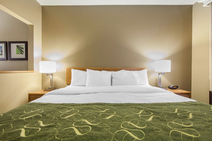 Imagen de la habitación del Hotel Comfort Suites Keeneland. Foto 7