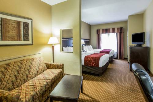 Imagen de la habitación del Hotel Comfort Suites Kings Bay. Foto 5