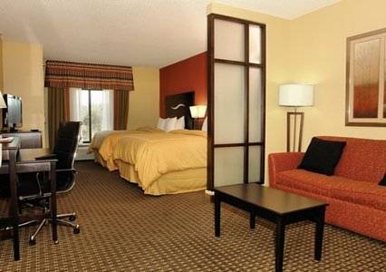 Imagen de la habitación del Hotel Comfort Suites Kingsport. Foto 4