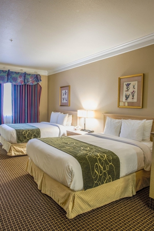 Imagen de la habitación del Hotel Comfort Suites Kingwood Houston North. Foto 7