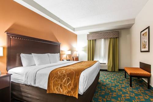 Imagen de la habitación del Hotel Comfort Suites Knoxville West - Farragut. Foto 8