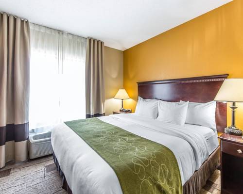 Imagen de la habitación del Hotel Comfort Suites Kodak Sevierville. Foto 6