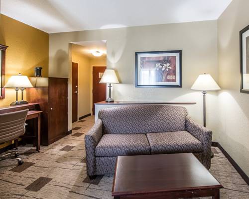 Imagen de la habitación del Hotel Comfort Suites Kodak Sevierville. Foto 9