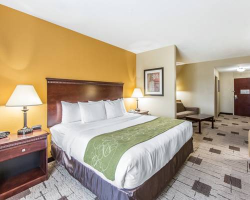 Imagen de la habitación del Hotel Comfort Suites Kodak Sevierville. Foto 10