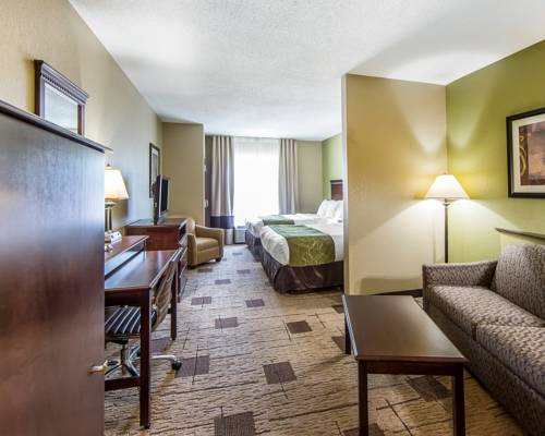Imagen de la habitación del Hotel Comfort Suites Kodak Sevierville. Foto 12