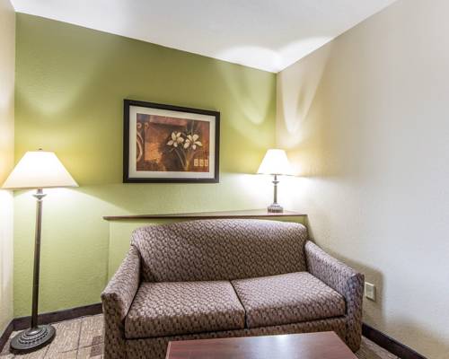 Imagen de la habitación del Hotel Comfort Suites Kodak Sevierville. Foto 14