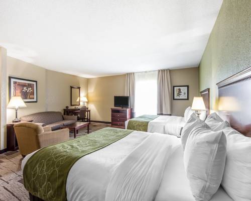 Imagen de la habitación del Hotel Comfort Suites Kodak Sevierville. Foto 16
