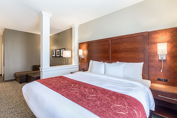 Imagen de la habitación del Hotel Comfort Suites Kyle. Foto 4