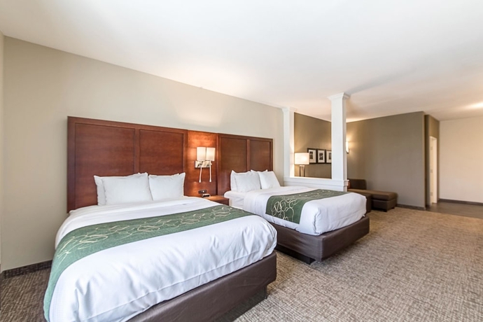 Imagen de la habitación del Hotel Comfort Suites Kyle. Foto 8