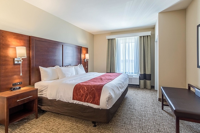 Imagen de la habitación del Hotel Comfort Suites Kyle. Foto 10