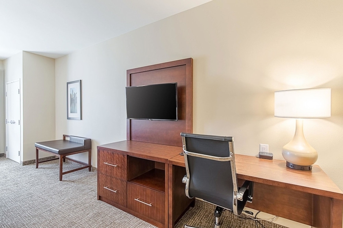 Imagen de la habitación del Hotel Comfort Suites Kyle. Foto 16