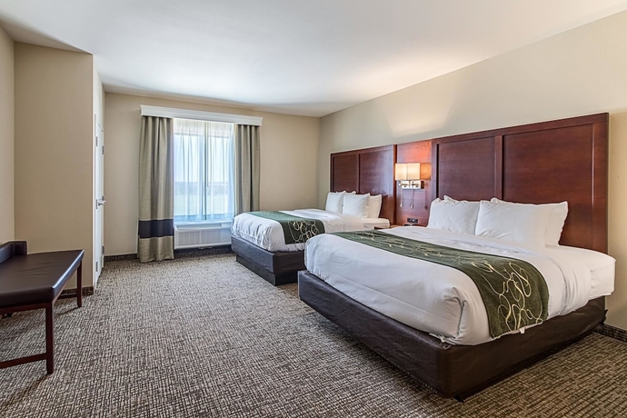 Imagen de la habitación del Hotel Comfort Suites Kyle. Foto 17