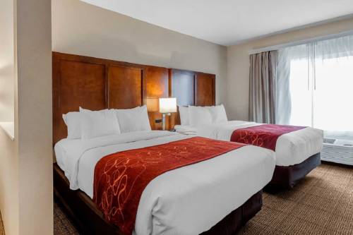 Imagen de la habitación del Hotel Comfort Suites, La Vista. Foto 2