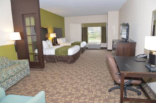 Imagen de la habitación del Hotel Comfort Suites Lake City. Foto 3