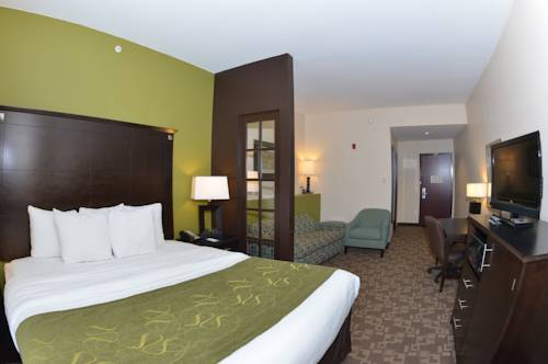 Imagen de la habitación del Hotel Comfort Suites Lake City. Foto 4