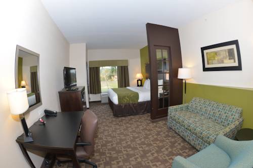 Imagen de la habitación del Hotel Comfort Suites Lake City. Foto 7