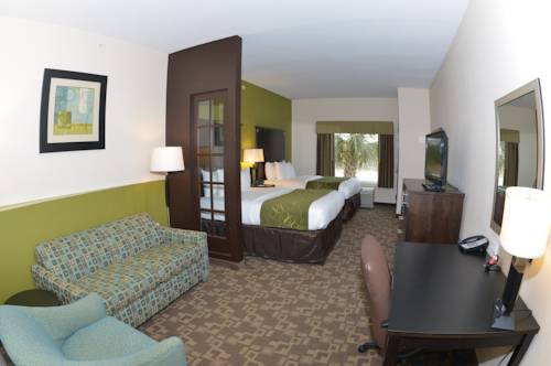 Imagen de la habitación del Hotel Comfort Suites Lake City. Foto 8