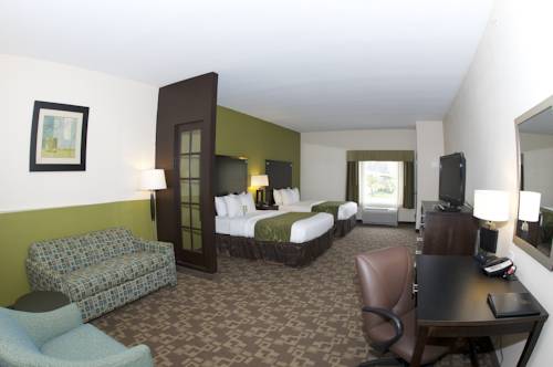 Imagen de la habitación del Hotel Comfort Suites Lake City. Foto 9