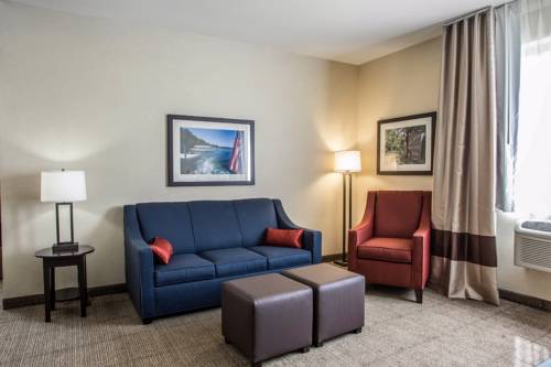 Imagen de la habitación del Hotel Comfort Suites Lake Geneva East. Foto 4