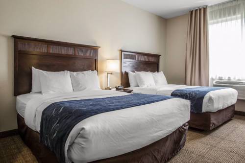 Imagen de la habitación del Hotel Comfort Suites Lake Geneva East. Foto 5