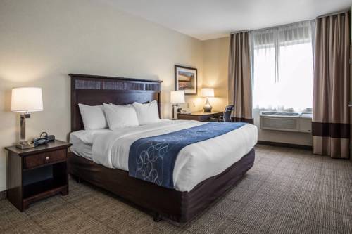 Imagen de la habitación del Hotel Comfort Suites Lake Geneva East. Foto 8
