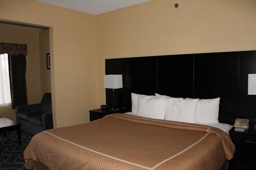 Imagen de la habitación del Hotel Comfort Suites Lake Ray Hubbard. Foto 3