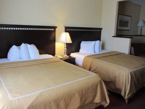 Imagen de la habitación del Hotel Comfort Suites Laredo. Foto 5