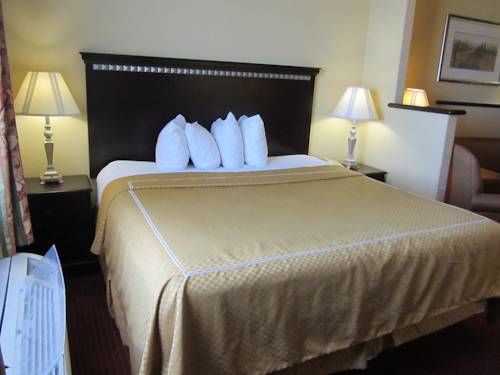 Imagen de la habitación del Hotel Comfort Suites Laredo. Foto 10