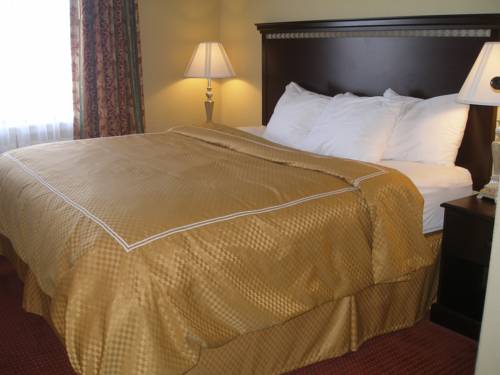 Imagen de la habitación del Hotel Comfort Suites Laredo. Foto 14